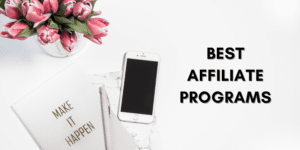 Read more about the article Top 5 Best Affiliate Marketing Programs for Beginners in 2024