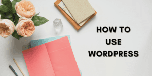 Read more about the article How to use WordPress: A Complete Beginner-Friendly Guide